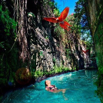 Xcaret Plus only $134