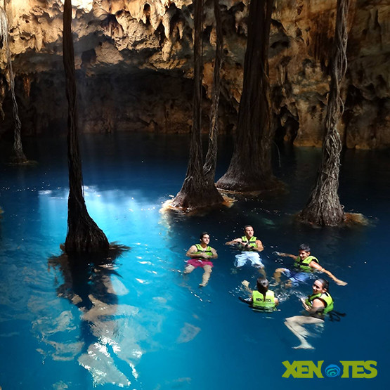 Xenotes